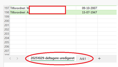 Slet ark 1 hvis der er flere ark